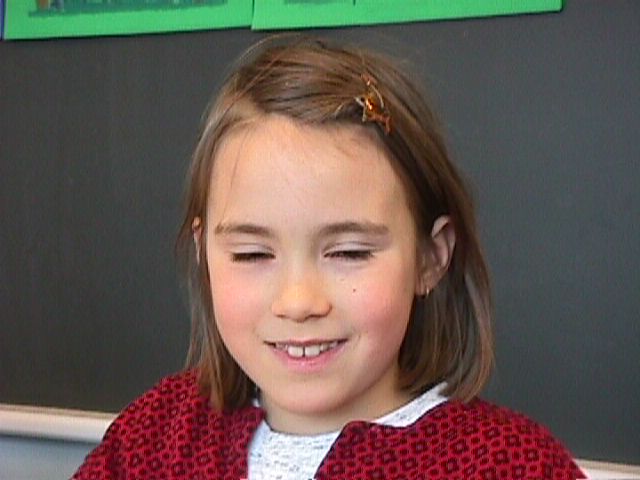 315_1.jpg (38421 Byte)