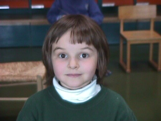 490__1.jpg (30417 Byte)